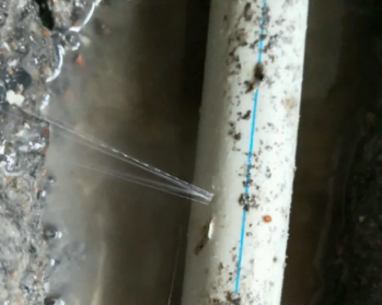 浦口卫生间测漏水多少钱